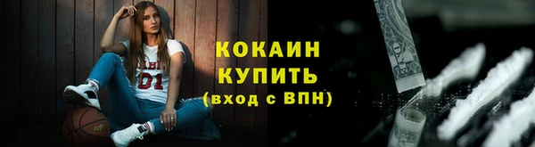 индика Лагань