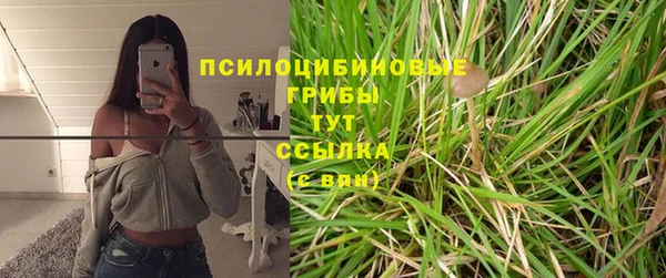 индика Лагань